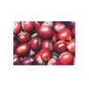 Cereals and Oils (3) thumbnail-1
