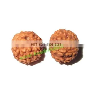 Rudraksha Beads 8 Mukhi (eight Face), Size: 9mm thumbnail-1