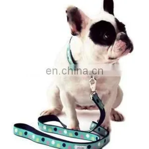 Outdoor Retractable Pet Dog Leash With Custom Logo thumbnail-3