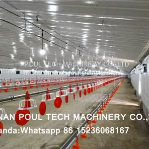 Sudan Poultry Farm for 10,000 Broilers & Chicken Plastic Saltted Floor System & Broiler Floor System With Nipple Drinker System & Feeding Pan System thumbnail-2