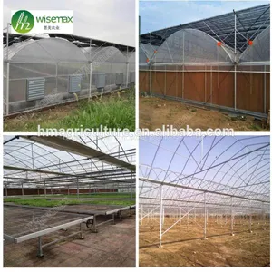 China Factory Plastic Film Covering Multi Span Tunnel Greenhouse thumbnail-2