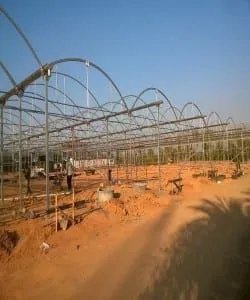 Multi-Span Greenhouse for Agricultural Greenhouse thumbnail-2