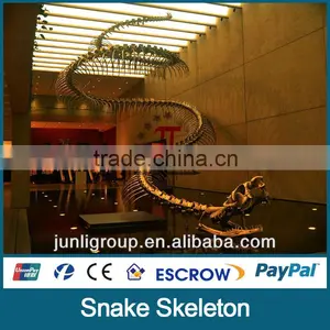 JLDF-G-0023 Huge Life Size Snake Skeleton thumbnail-1