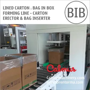 Case Erector and Bag Inserter For Forming Lined Cartons thumbnail-5