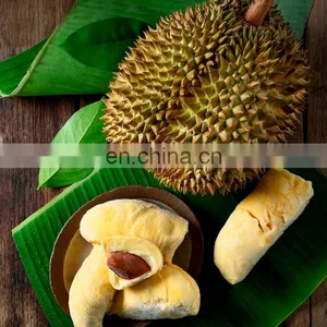 Thailand Fruit Premium Grade Frozen Whole Monthong King Durian thumbnail-1