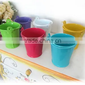 CCGB-G106 New Available Mini Metal Flower Bucket, Garden Bucket, Creative Bucket thumbnail-2