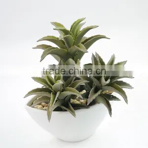 Environmental Artificial Aloe Bonsai For Decoration thumbnail-1