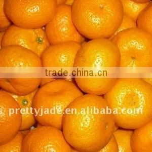 Chinese Fresh Baby Mandarin thumbnail-1