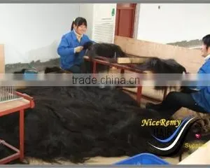 NiceRemyHair International (Qingdao) Co., Ltd. company overview - view 2 thumbnail