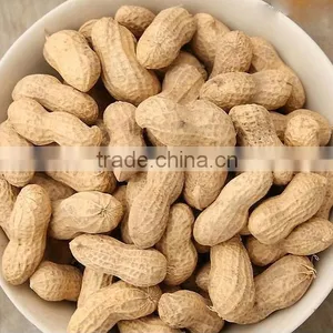 New Crop Chinese Best Price Roasted Peanut In Shell thumbnail-1