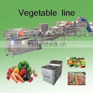 Automatic Vegetable Washing Line/Hot Sale Vegetable Procesing Line/vegetable Cutting Machine thumbnail-1