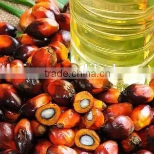 Big Capacity Auto Palm Kernel Crushing Machine/palm Kernel Cracking Machine thumbnail-5