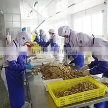 Dandong Huayi Foodstuff Co., Ltd. company overview - view 2 thumbnail
