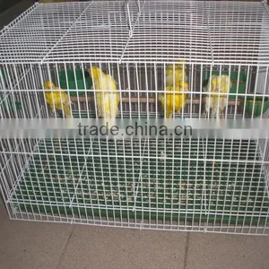 Bird Cage thumbnail-4