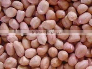 Supply High Quality Peanut Kernels thumbnail-5