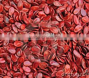 Supply Melon Seeds , Good Quality Red Watermelon Seeds Kernels for Sale thumbnail-4