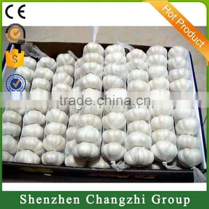 2016 High Quality Fresh Garlic thumbnail-1