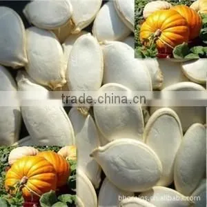 2015 Best Cheaper Snow White Pumpkin Seed for Sale thumbnail-1