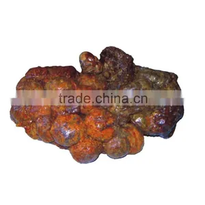 High Quality Bee Propolis/bee Propolis Powder thumbnail-2