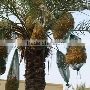 Date Palm Bag With Black Drawstring thumbnail-1