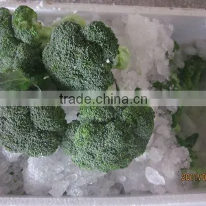 11-13cm Fresh Broccoli (Fujian,China) thumbnail-1