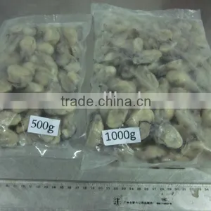 Frozen Oyster Meat Without Shell thumbnail-1