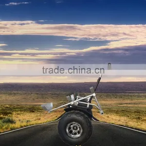 1000W Golf Cheapest Hot Selling Chariot Balance Scooter thumbnail-1