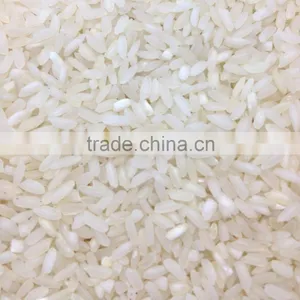 Short Grain White Rice Manufacturer thumbnail-1