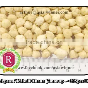 Chickpeas / White Chana / Kabuli Chana / Cicerarietinum (Red Ruby) thumbnail-3