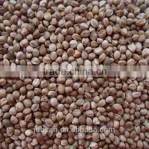2015 Whole Hemp Seeds Good Grade thumbnail-4