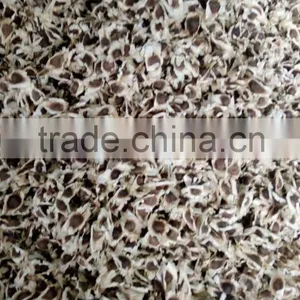 MORINGA SEEDS FOR MORINGA OIL thumbnail-1