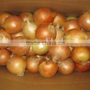 Fresh Red Onions Yellow Onions From Chinese Factory thumbnail-3
