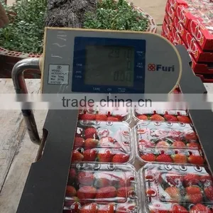 Egyptian Frozen Strawberry thumbnail-4