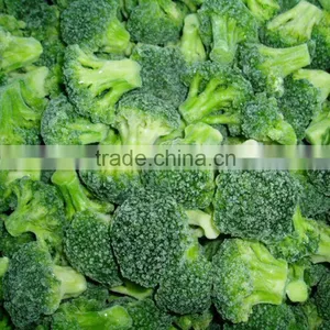 IQF Broccoli Manufacturer thumbnail-6