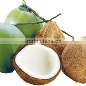 Fresh Coconut thumbnail-1