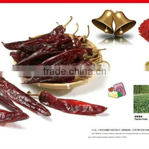 HACCP FDA KOSHER Certified Sweet Whole Paprika Pods thumbnail-6