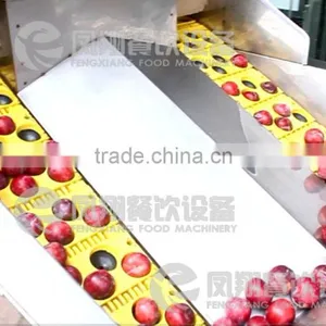 High Quality Plum Stoner, Plum Pitter, Plum Corer With CE Certificated thumbnail-4