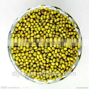 JSX Origin Yellow Mung Bean Price Sprouting Type First Class Mung thumbnail-4