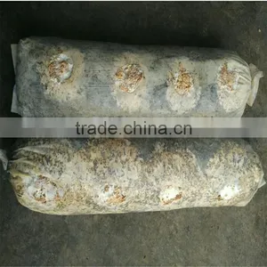 Dried Log Flower Shiitake Mushrooms Logs Whole Low Price For Sale thumbnail-1