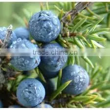 JUNIPERUS FLORAL WATER thumbnail-1