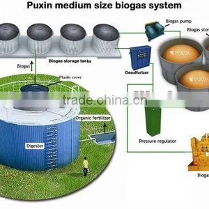 PUXIIN Medium and Large Size Anaerobic Bioreactor thumbnail-1