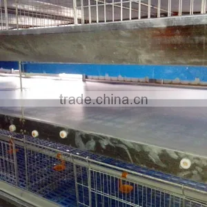 H Type 56 Chickens Broiler Chicken Cage Sale for Tanzania thumbnail-4