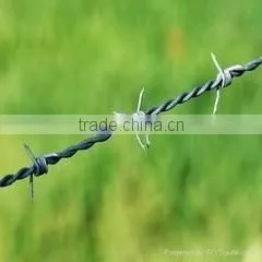 Galvanized Razor Wire/Concertina Wire/Razor Barbed Wire thumbnail-4
