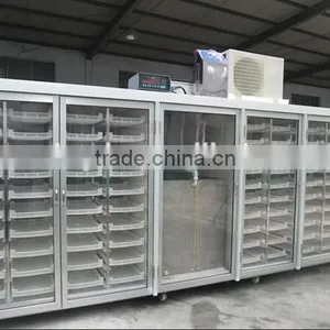 Automatidc Hydroponic Seeds Sprout Fodder Growing Machine thumbnail-3