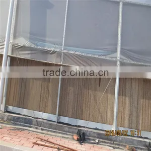 Plastic Greenhouse for Vegetable/Flower Raising thumbnail-3