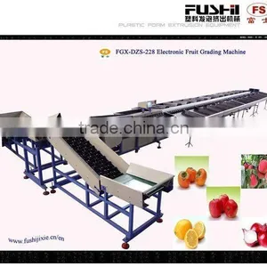 Fruit Grading Machine(FGX-DZ) thumbnail-1