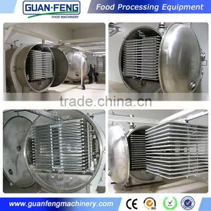 Freeze Drying Machine for Sale Freeze Dryer China for Vacuum Freeze Dried Durian thumbnail-1