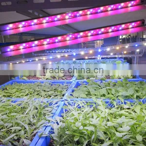 CE ETL Listed 60w IP65 Waterproof MarsHydro Led Grow Light Bar Strip Full Spectrum for Flower Vegetables thumbnail-3