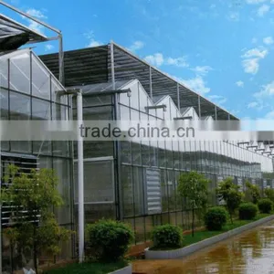 In External Blinds PC Board Plant Breeding Was Glass Greenhouse thumbnail-1