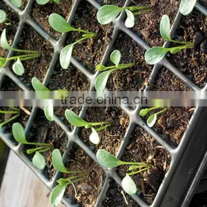 China Supplier PS Material 21,32, 50, 72, 98, 105, 128 150 162 200 288 Cells Plastic Trays Plant Nursery thumbnail-2
